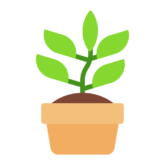 Growo